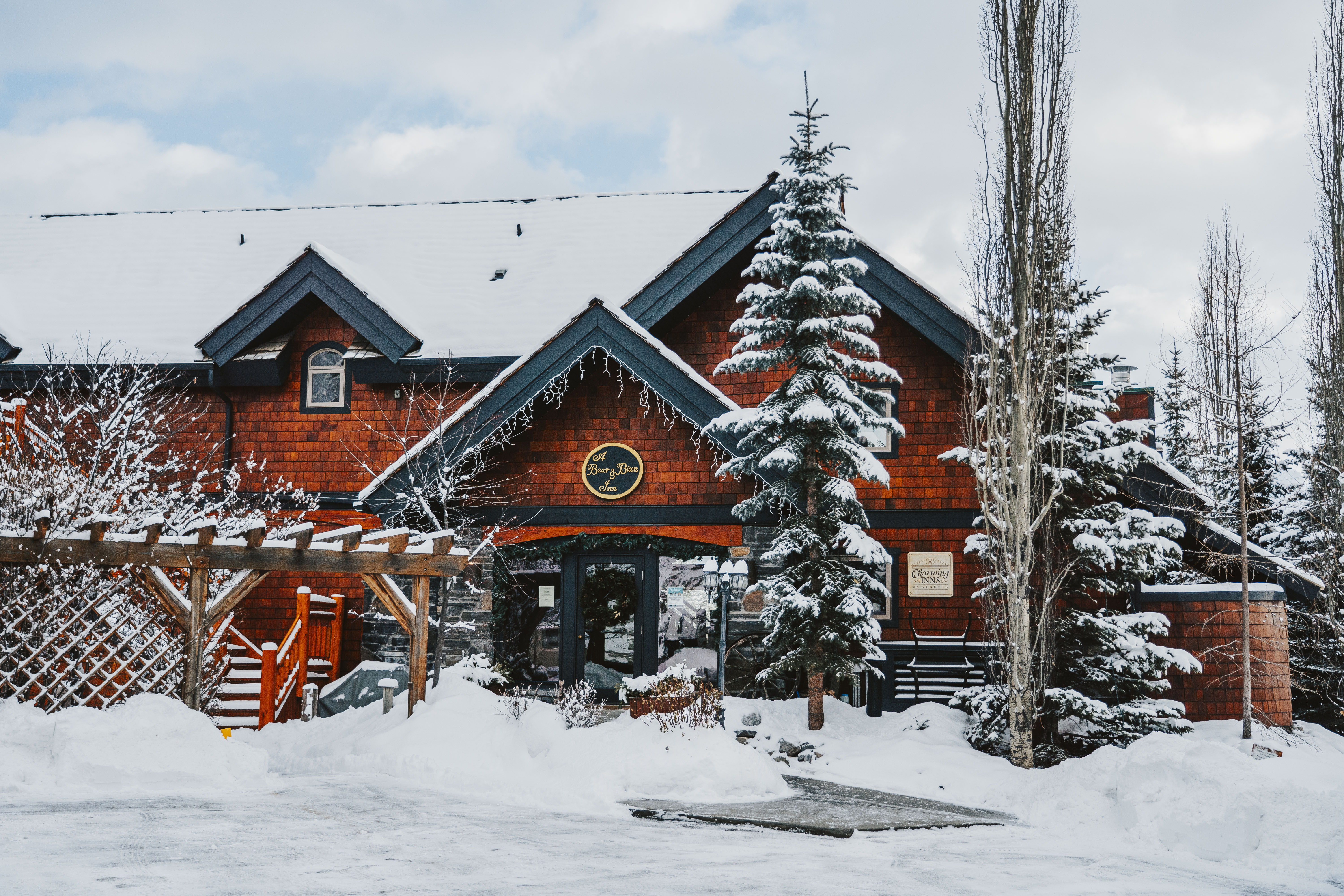 Unforgettable Canmore Outdoor Winter Weddings