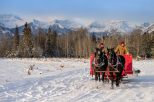 A winter sleigh ride near Canmore.