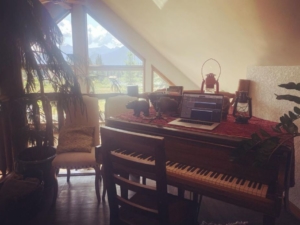 A Bear and Bison Grand Piano, Allison Lynch recording studio