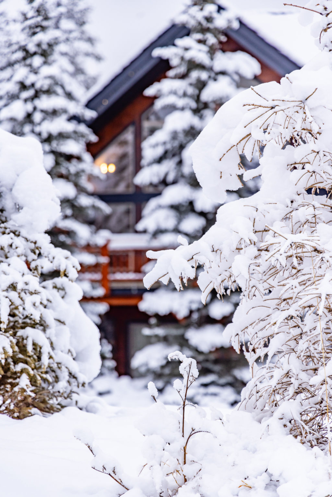 Canmore Winter Mountain Wedding